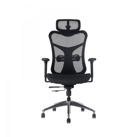 Alpha Mesh Executive Chair 